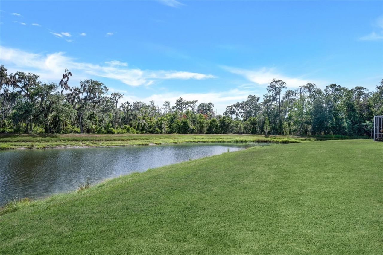 5842 Fishhawk Ridge Drive , Lithia, FL 33547 Photo