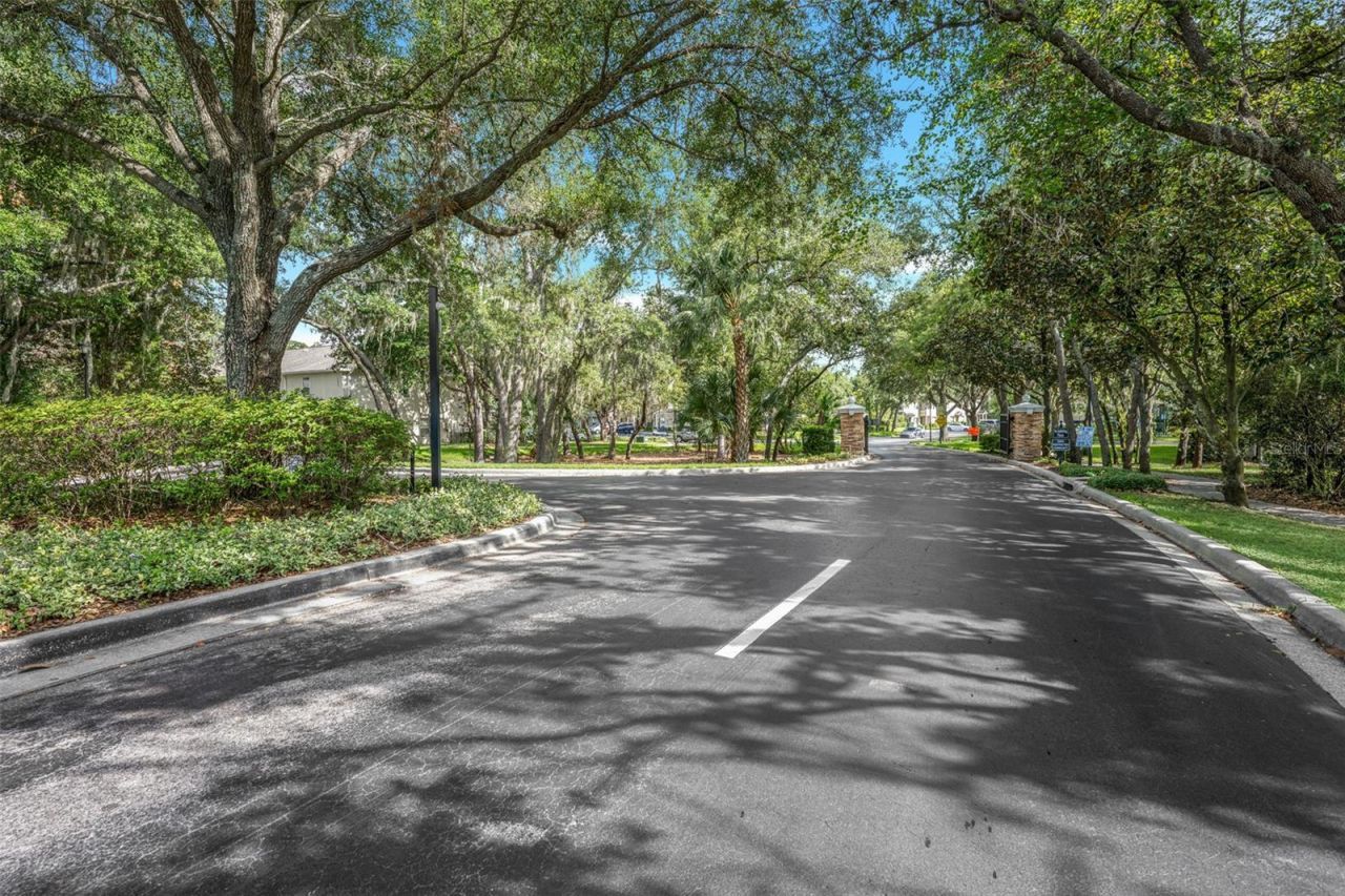 5842 Fishhawk Ridge Drive , Lithia, FL 33547 Photo