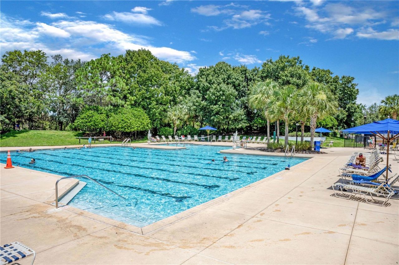 5842 Fishhawk Ridge Drive , Lithia, FL 33547 Photo