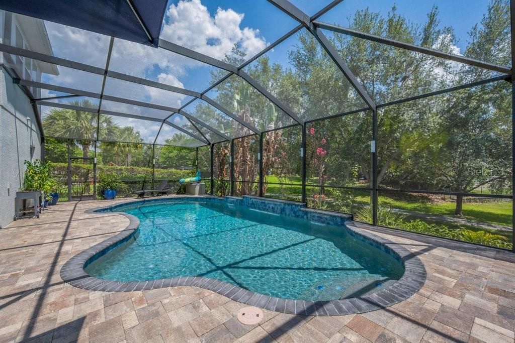 15531 Starling Crossing Drive, Lithia, FL 33547 Photo