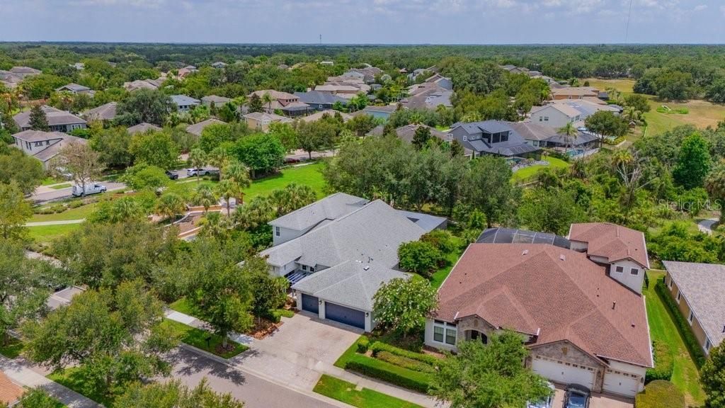 15531 Starling Crossing Drive, Lithia, FL 33547 Photo