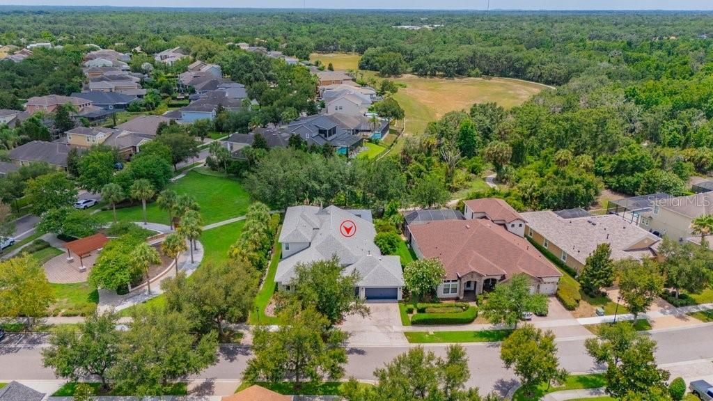 15531 Starling Crossing Drive, Lithia, FL 33547 Photo