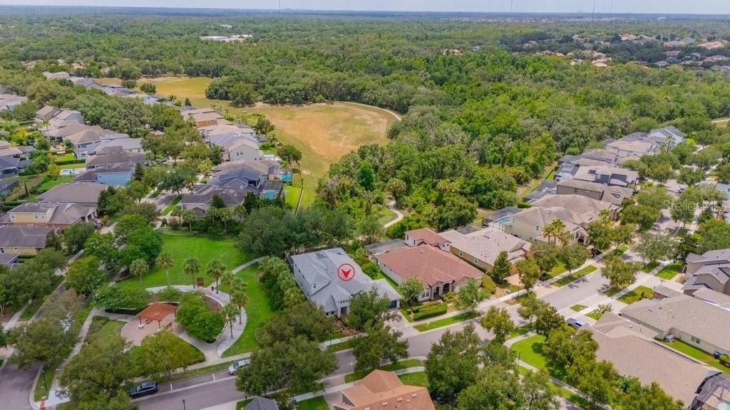 15531 Starling Crossing Drive, Lithia, FL 33547 Photo