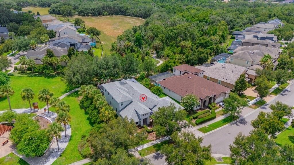 15531 Starling Crossing Drive, Lithia, FL 33547 Photo