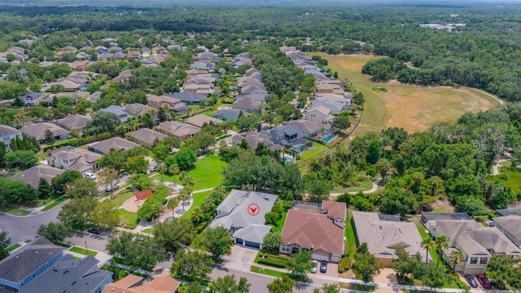 15531 Starling Crossing Drive, Lithia, FL 33547 Photo