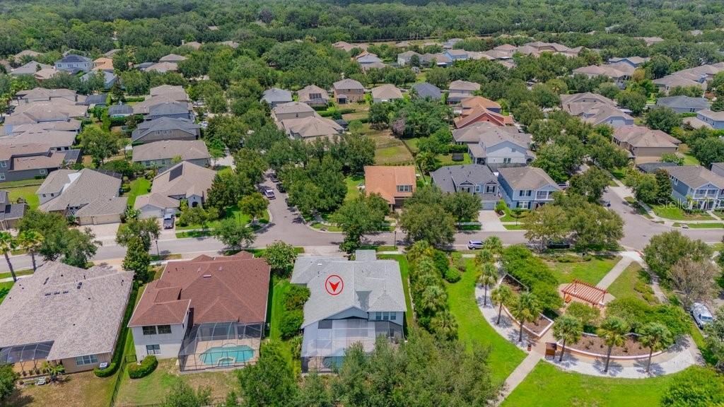 15531 Starling Crossing Drive, Lithia, FL 33547 Photo