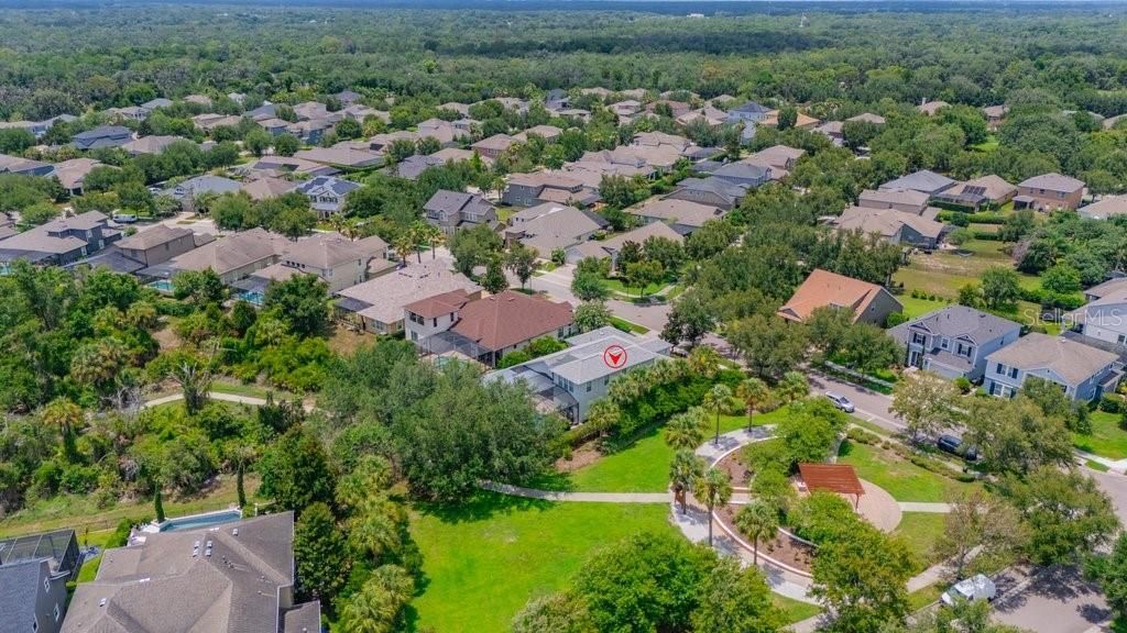 15531 Starling Crossing Drive, Lithia, FL 33547 Photo