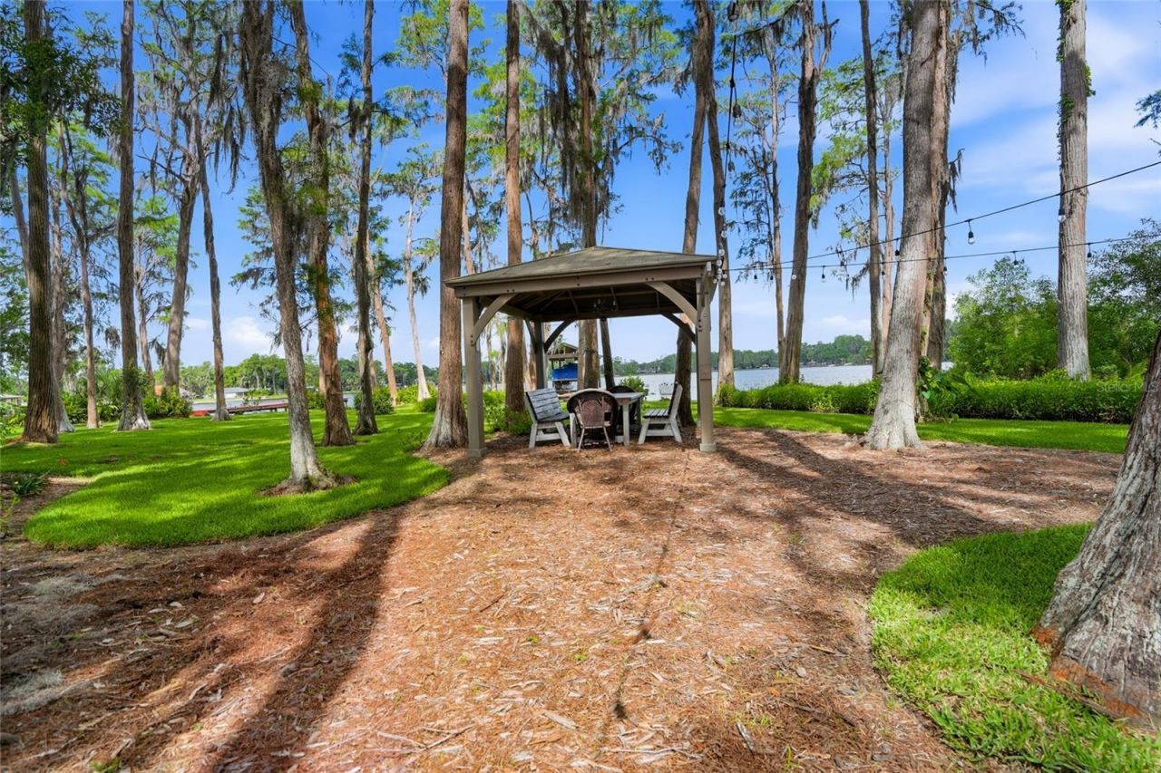 16622 Lakeshore Road, Tampa, FL 33624 Photo