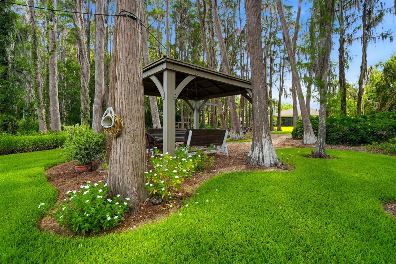 16622 Lakeshore Road, Tampa, FL 33624 Photo