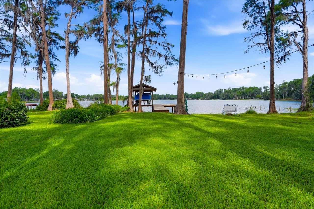 16622 Lakeshore Road, Tampa, FL 33624 Photo