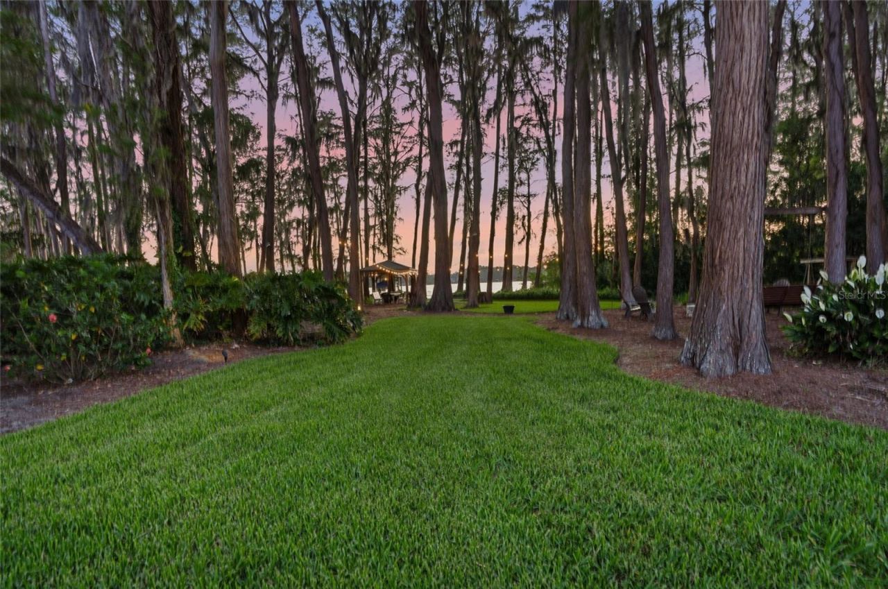 16622 Lakeshore Road, Tampa, FL 33624 Photo