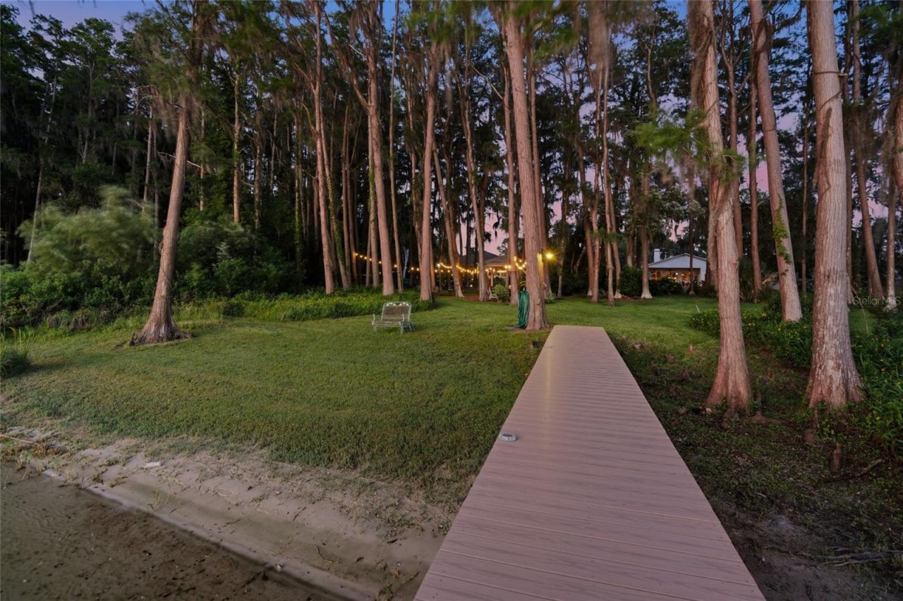 16622 Lakeshore Road, Tampa, FL 33624 Photo