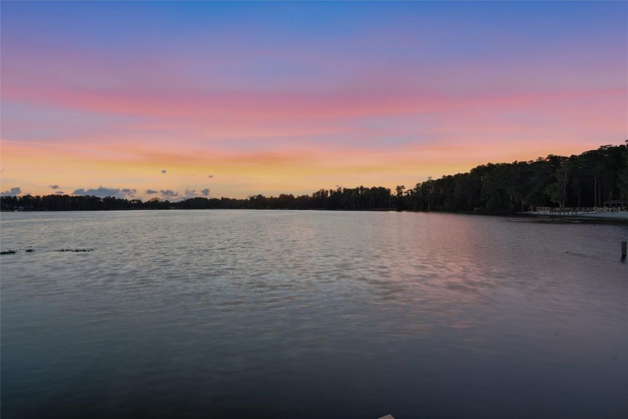16622 Lakeshore Road, Tampa, FL 33624 Photo