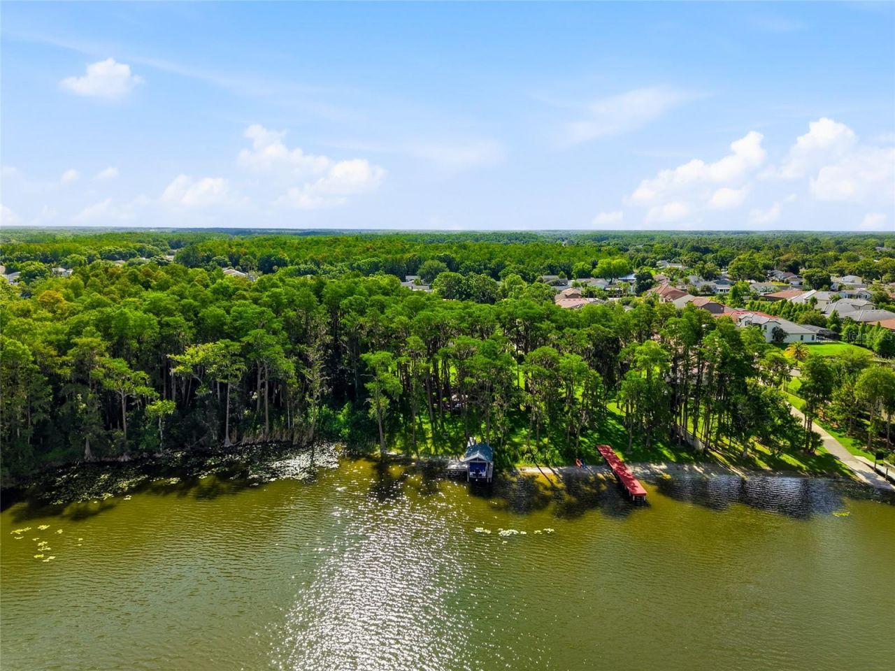 16622 Lakeshore Road, Tampa, FL 33624 Photo