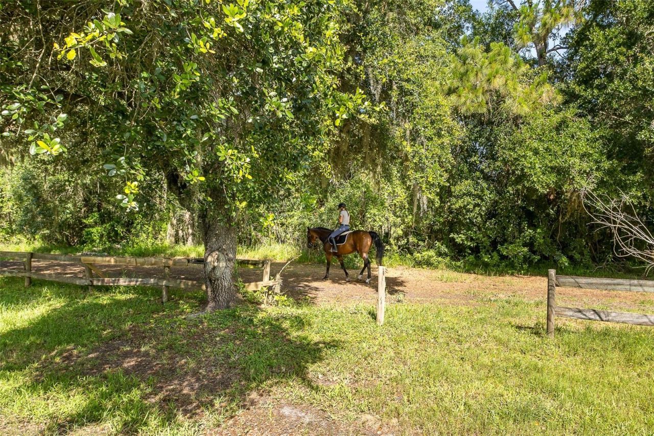 2880 Waters Edge Road, Palm Harbor, FL 34685 Photo