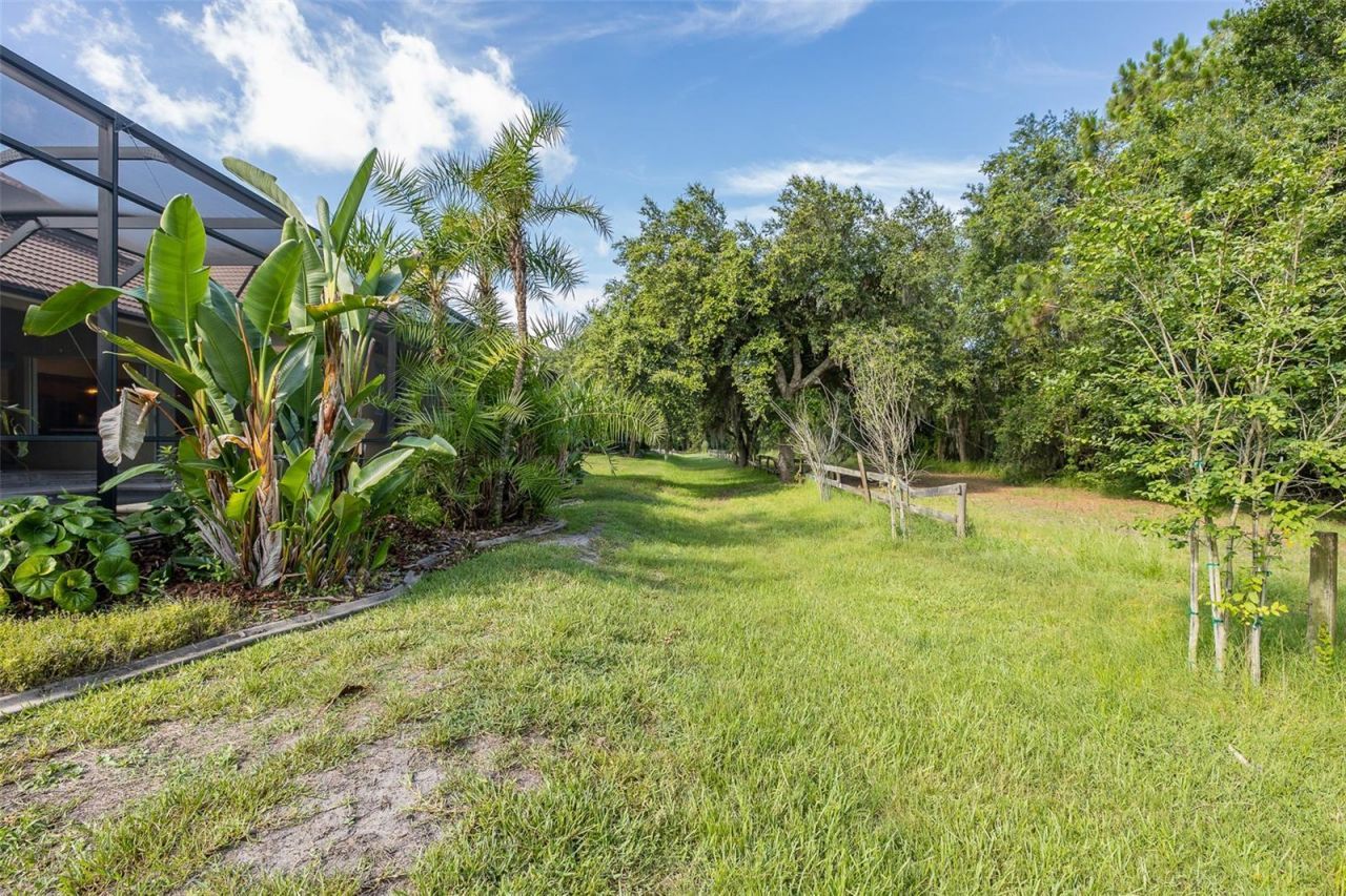 2880 Waters Edge Road, Palm Harbor, FL 34685 Photo