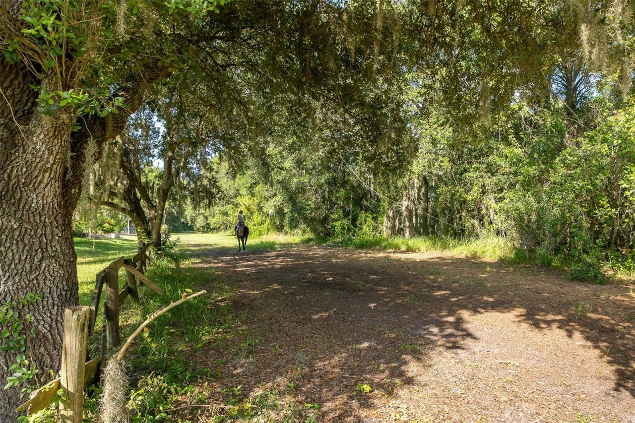 2880 Waters Edge Road, Palm Harbor, FL 34685 Photo