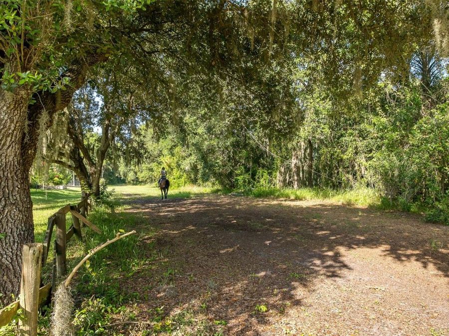 Property Image 51