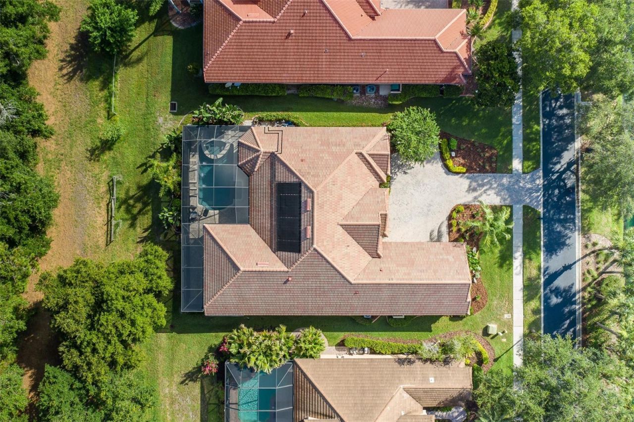 2880 Waters Edge Road, Palm Harbor, FL 34685 Photo