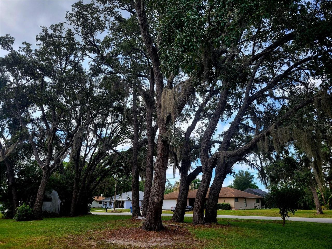 8962 Jena Road, Spring Hill, FL 34608 Photo