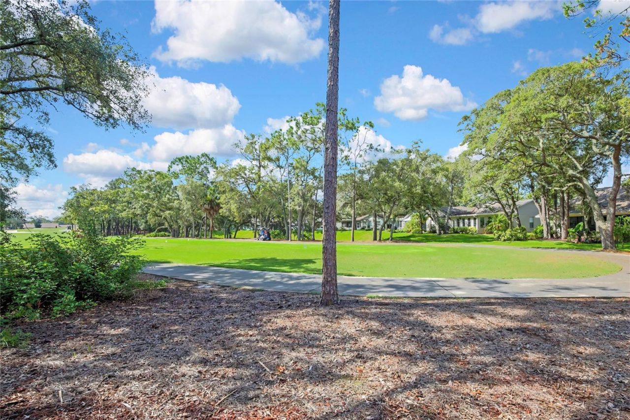 6577 Pine Meadows Drive , Spring Hill, FL 34606 Photo