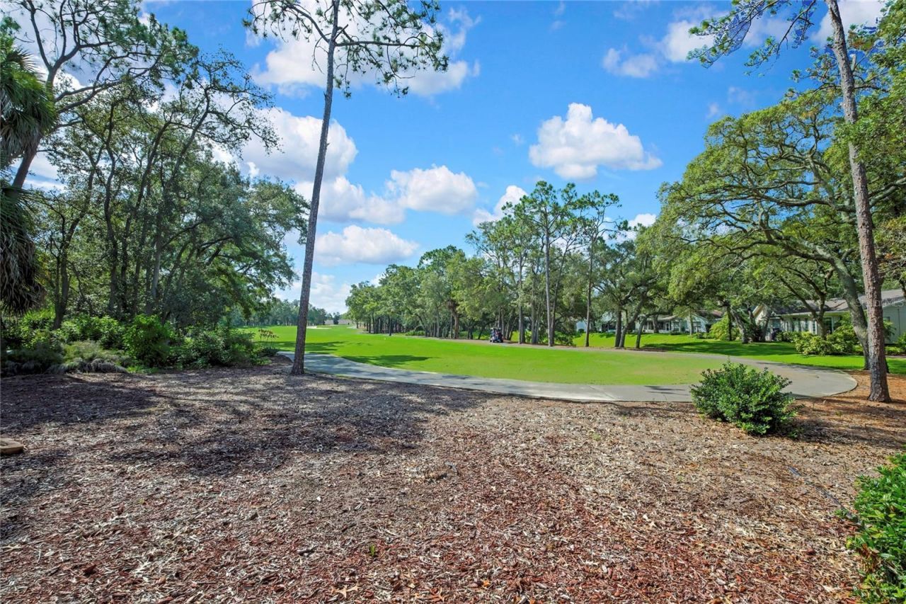 6577 Pine Meadows Drive , Spring Hill, FL 34606 Photo