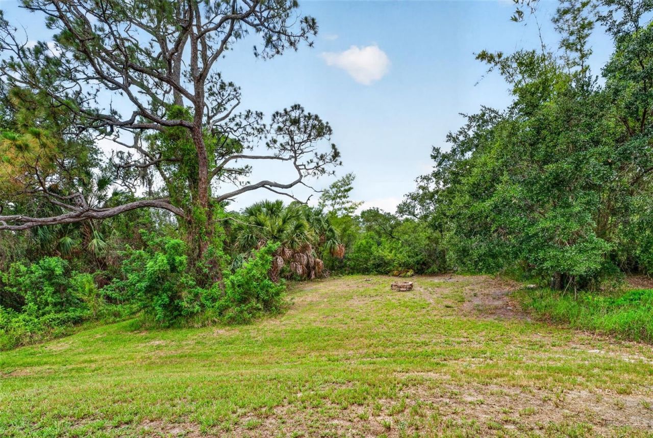 9018 N River Road, Tampa, FL 33635 Photo