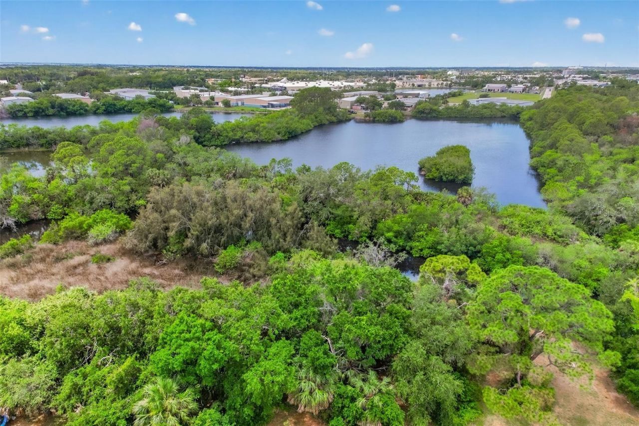 9018 N River Road, Tampa, FL 33635 Photo
