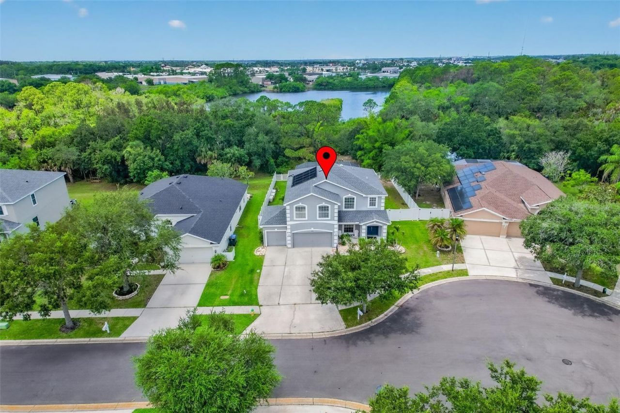9018 N River Road, Tampa, FL 33635 Photo