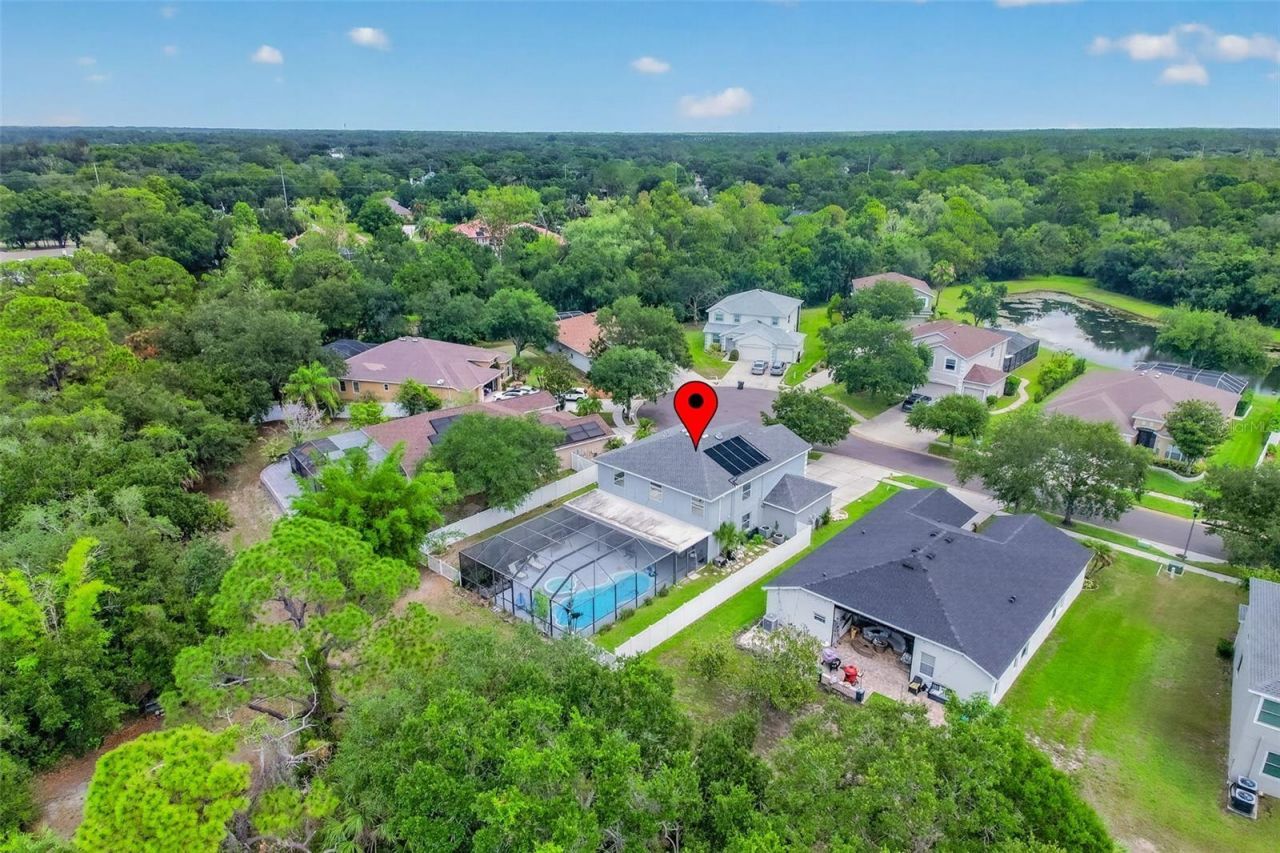 9018 N River Road, Tampa, FL 33635 Photo