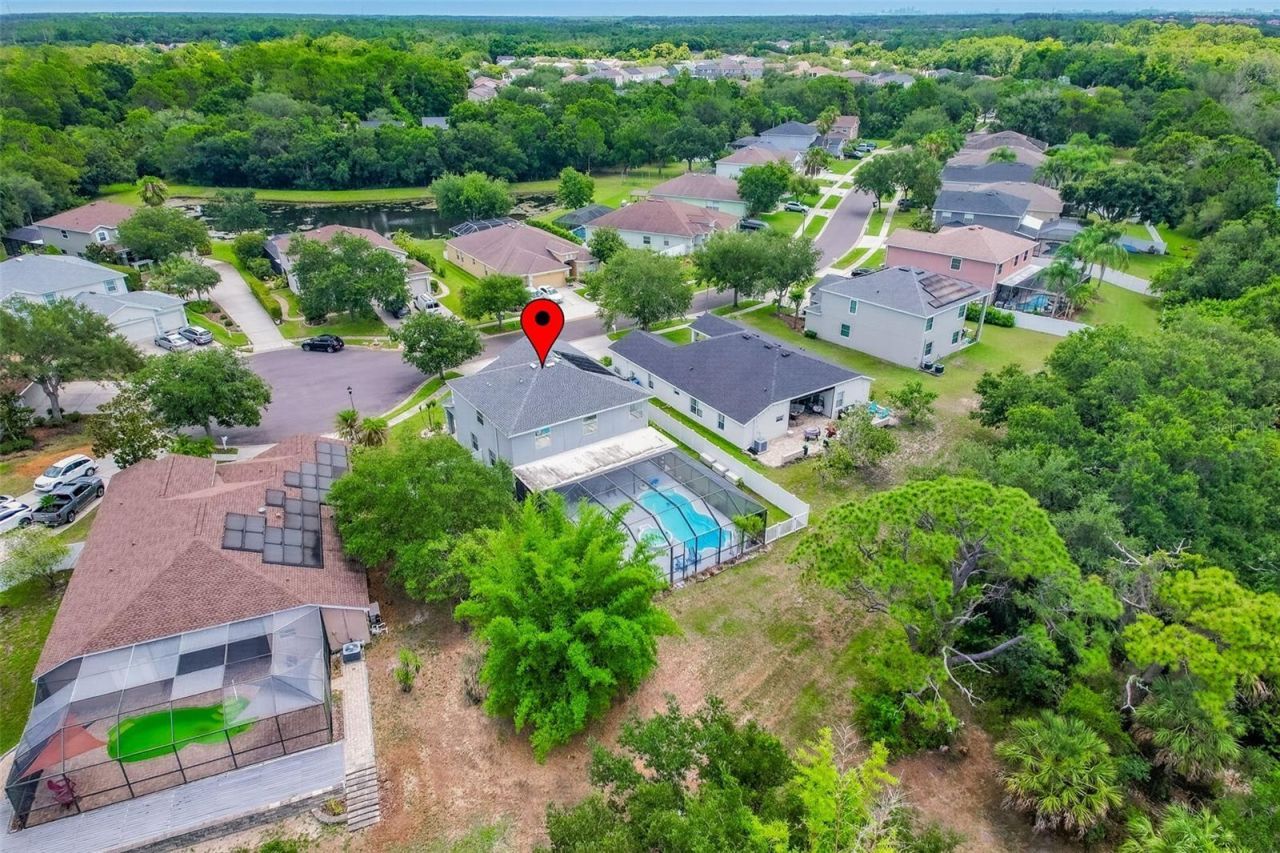 9018 N River Road, Tampa, FL 33635 Photo