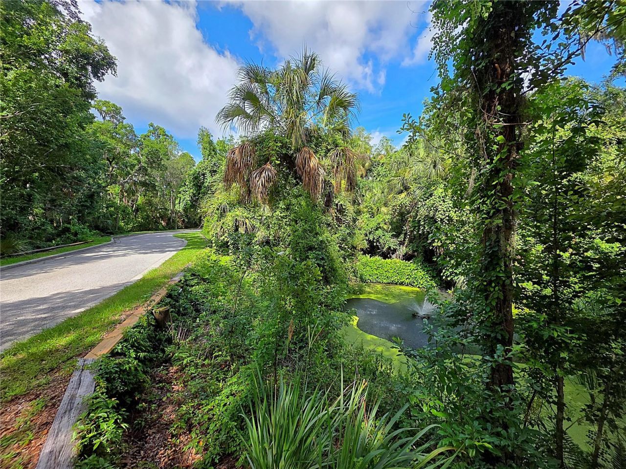 4876 Rambling River Road , Brandon, FL 33511 Photo