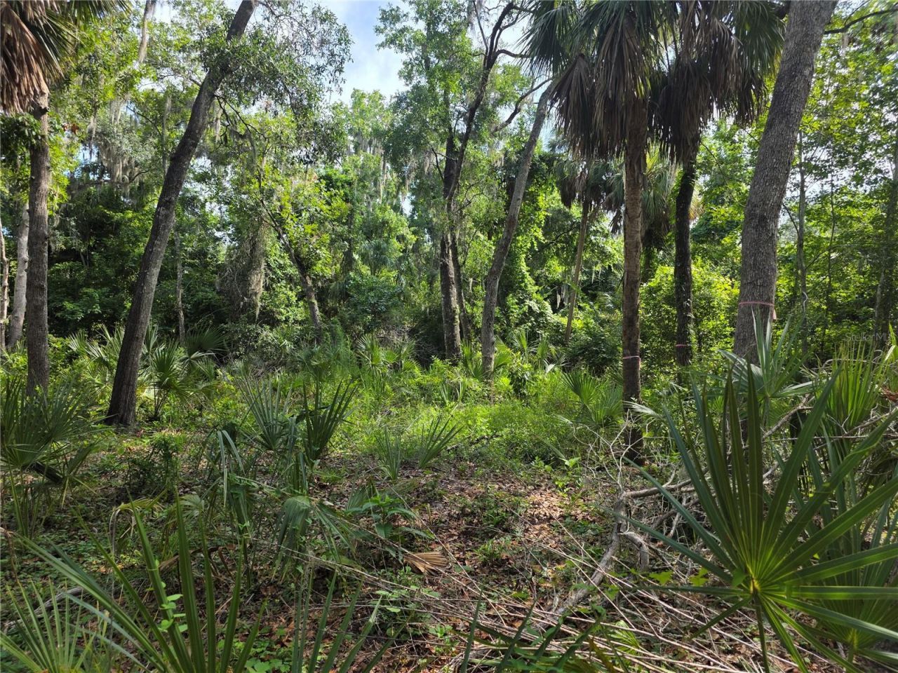 4876 Rambling River Road , Brandon, FL 33511 Photo