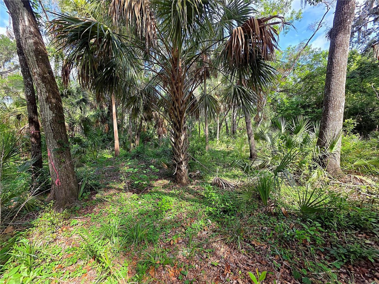 4876 Rambling River Road , Brandon, FL 33511 Photo