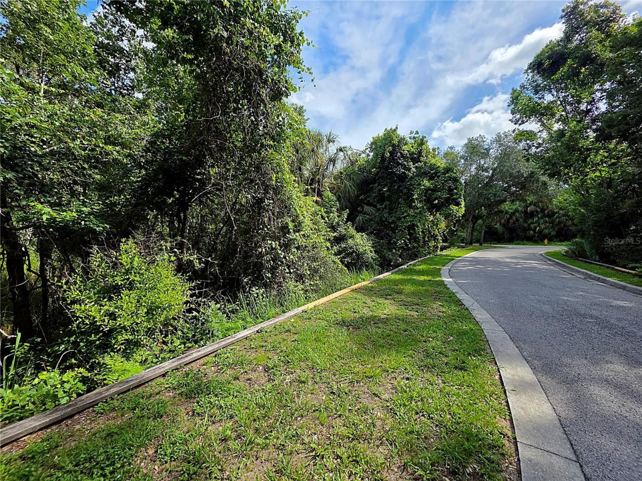 4876 Rambling River Road , Brandon, FL 33511 Photo
