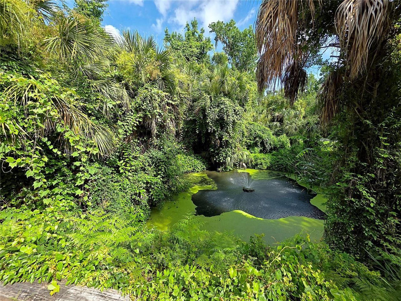 4876 Rambling River Road , Brandon, FL 33511 Photo