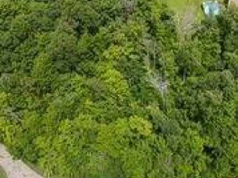 Curry Lane, Chagrin Falls, OH 44023 Photo 3