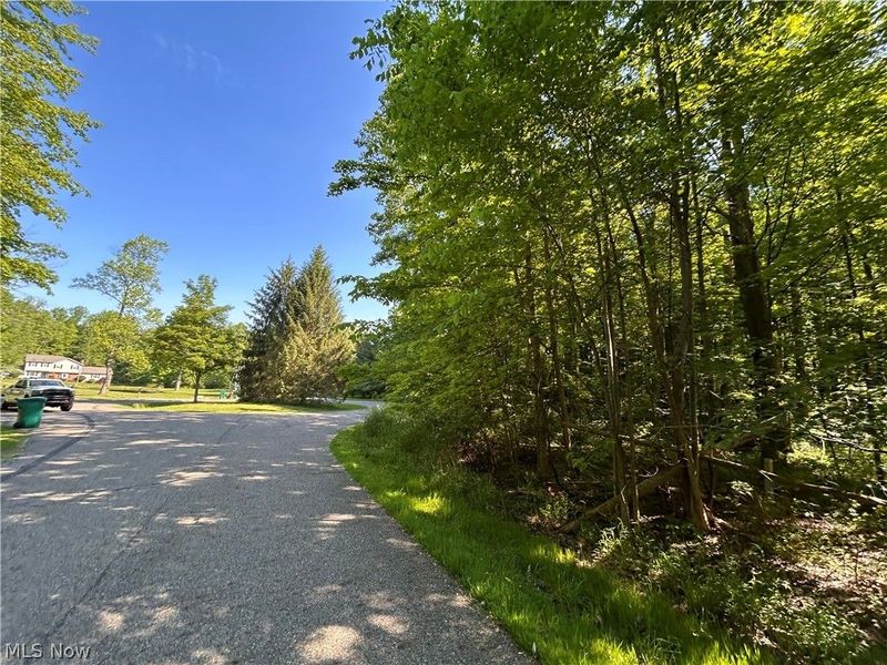 Curry Lane, Chagrin Falls, OH 44023 Photo 4