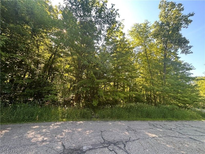 Curry Lane, Chagrin Falls, OH 44023 Photo 5