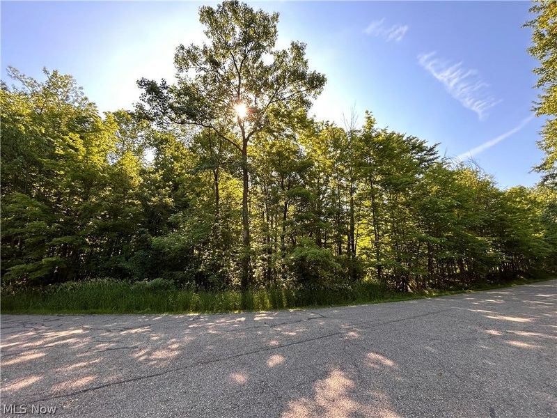 Curry Lane, Chagrin Falls, OH 44023 Photo 6