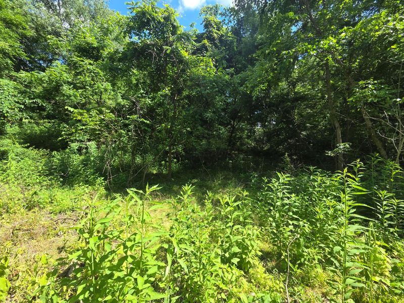 0 Crabapple Drive , Unit lot 63, Howard, OH 43028 Photo 2