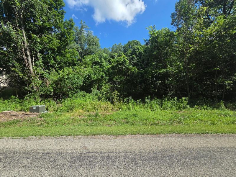 0 Crabapple Drive , Unit lot 63, Howard, OH 43028 Photo 3