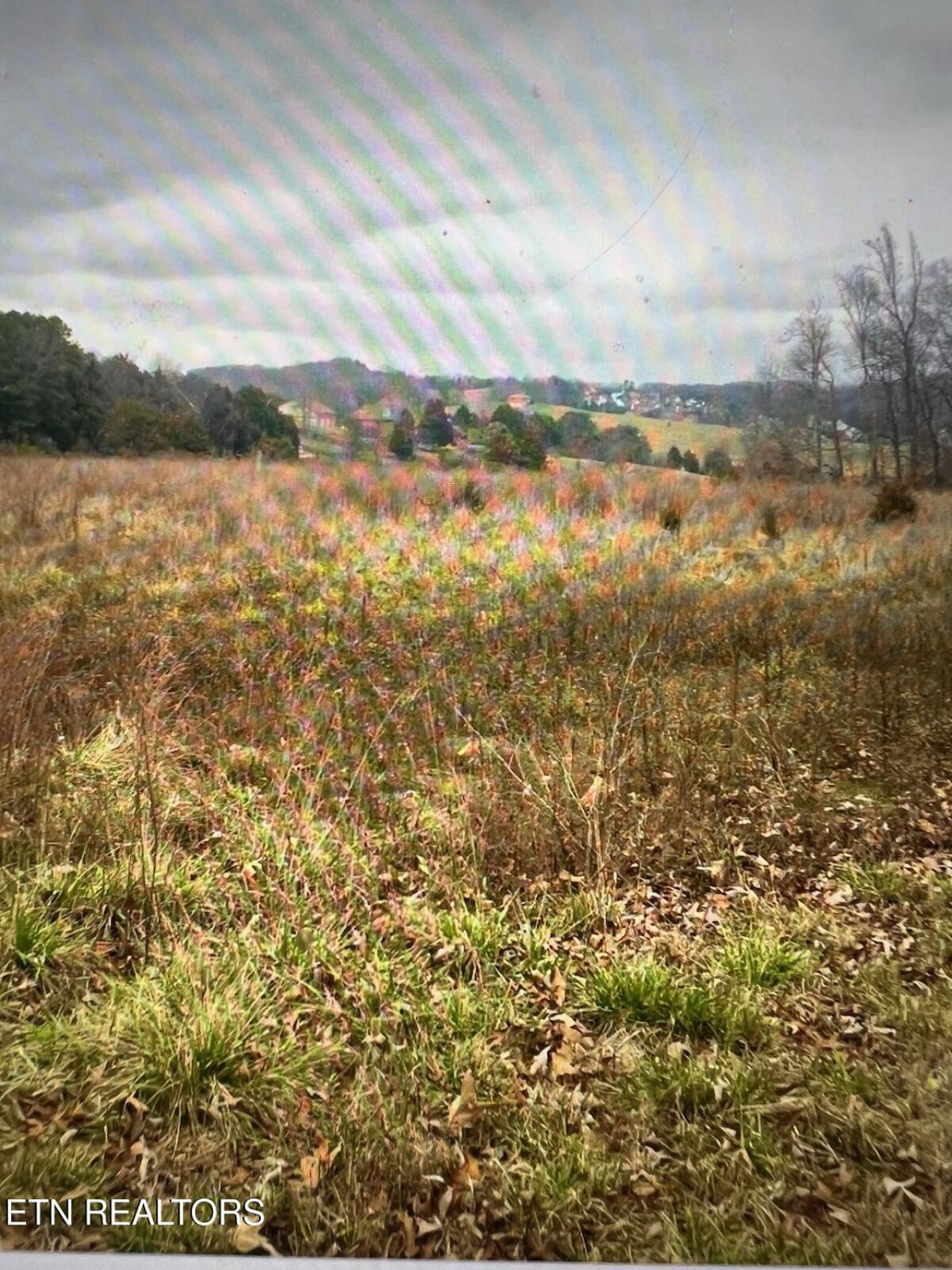 8200 Schroeder Rd, Powell, TN 37849 Main Photo