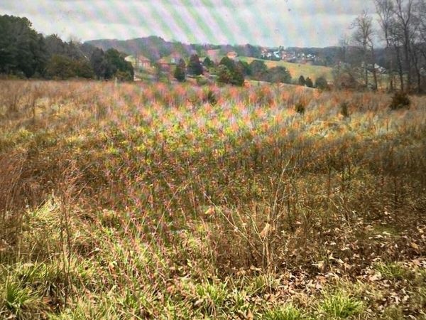 8200 Schroeder Rd, Powell, TN 37849