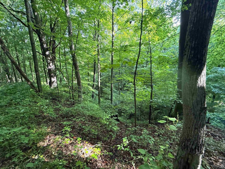 Property Image 27