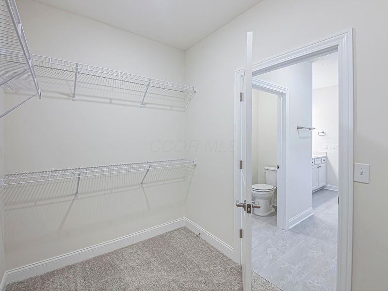 1854 Zucchina Drive, Unit Lot 208, Hilliard, OH 43026 Photo 20