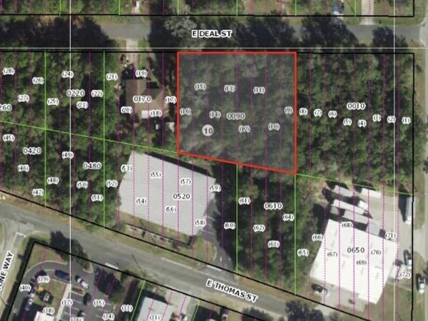 3118 E Deal Street, Inverness, FL 34453