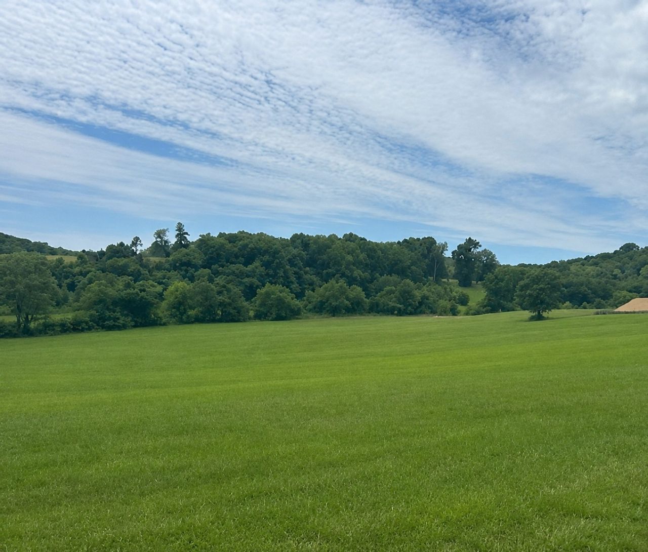 0 Johnny Bennett Rd, Lot #Lot 5, Thompsons Station, TN 37179 Main Photo