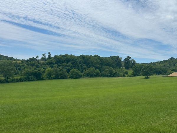 0 Johnny Bennett Rd , Unit Lot 5, Thompsons Station, TN 37179