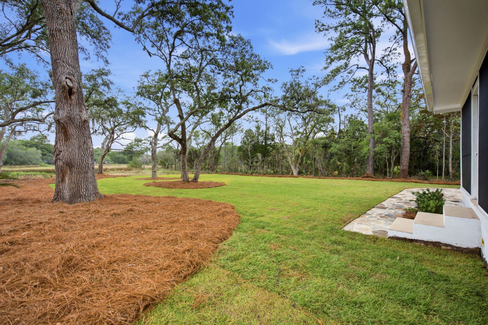 46 Chadwick Drive Photo 65